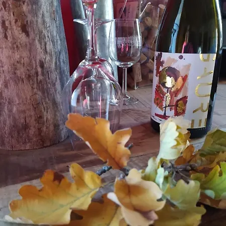 Habitación en casa particular Les Amis De Gaure