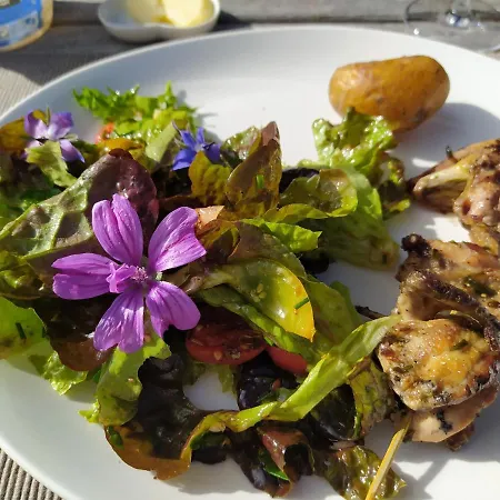 Les Amis De Gaure * Rouffiac-d'Aude