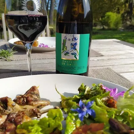 Les Amis De Gaure Habitación en casa particular