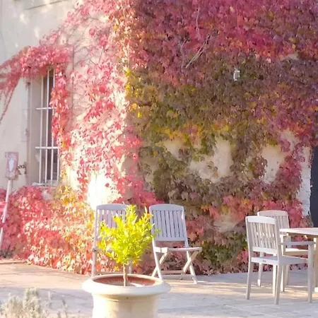 Homestay Les Amis De Gaure Rouffiac-d'Aude
