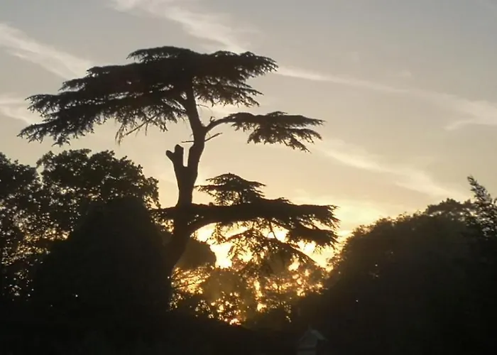 Les Amis De Gaure منزل للإقامة *