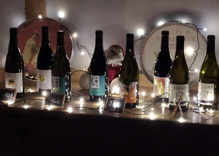 Les Amis De Gaure Rouffiac-d'Aude