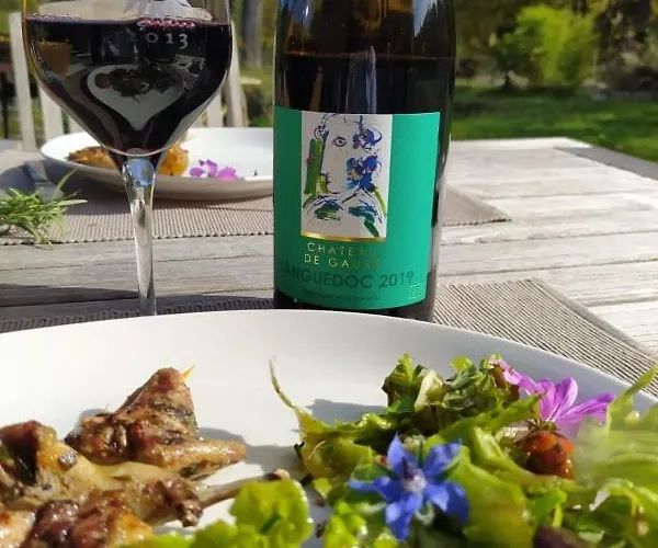 Les Amis De Gaure منزل للإقامة