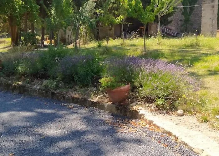 Les Amis De Gaure Rouffiac-d'Aude